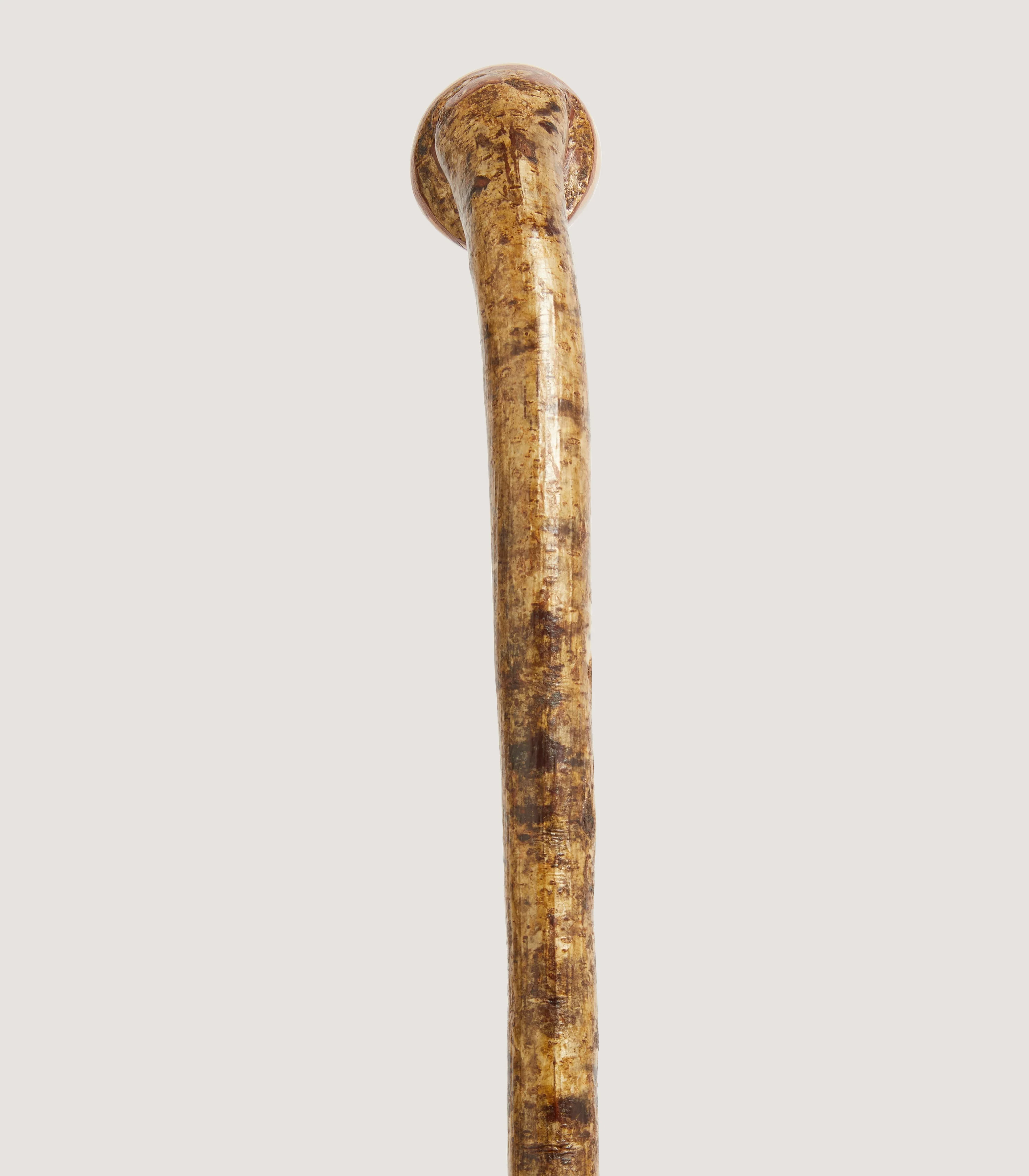 Hazel Knob Stick - Image 3