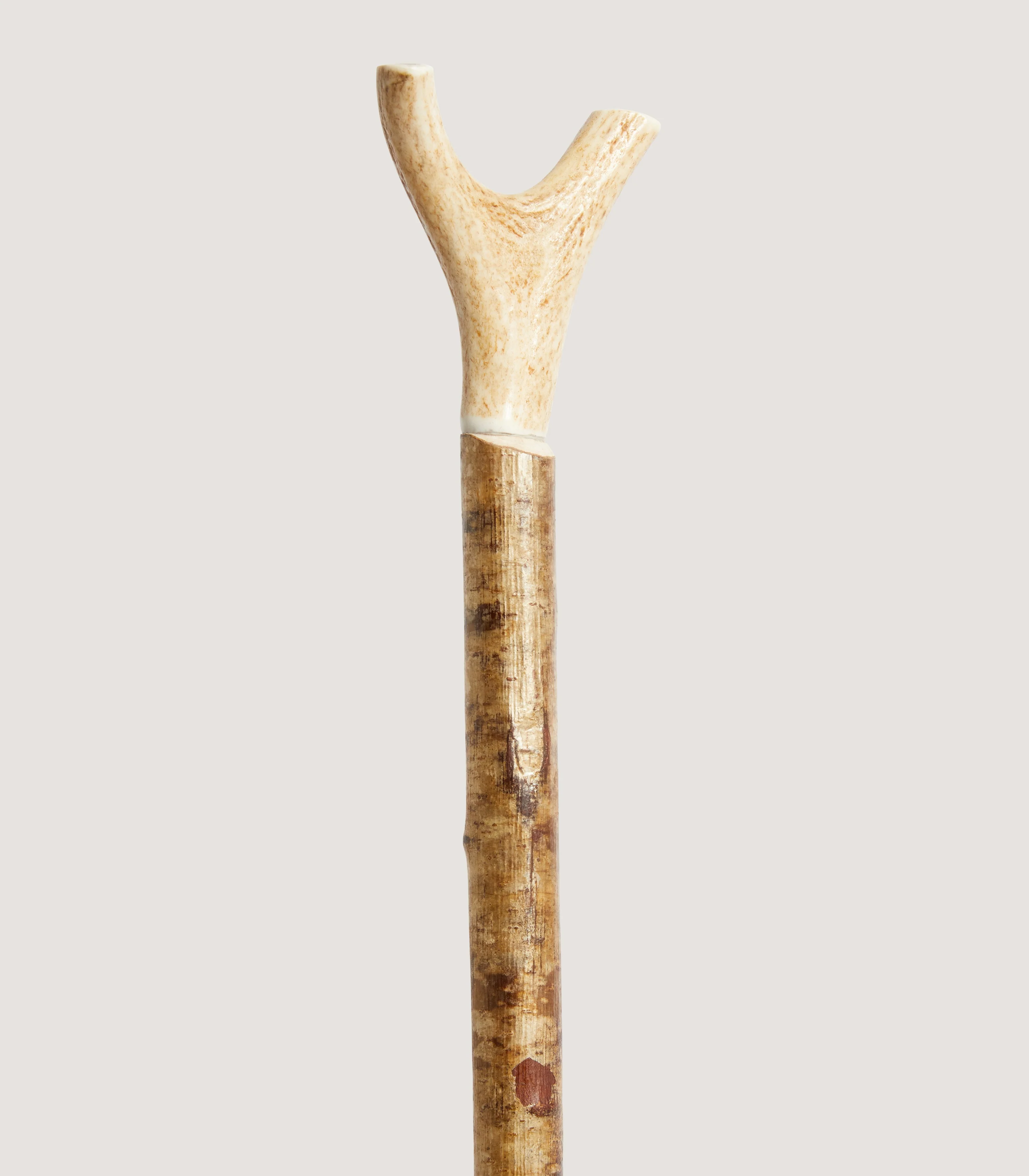 Staghorn Thumbstick - Image 3